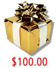 $100.00 gift certificate