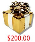 $200.00 gift certificate