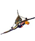Mexican Talavera Eagle