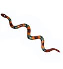 Talavera Sunflower Snake