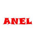 Anel artisan logo
